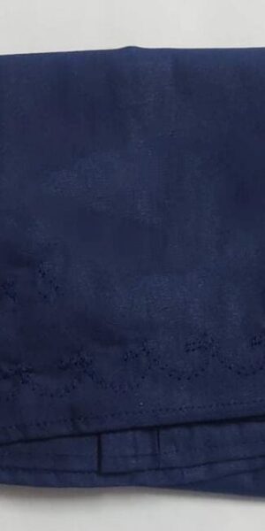 inskirt blue colour for ladies